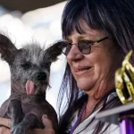 Scooter wins world's ugliest dog contest and millions of hearts