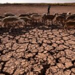 El Niño: WMO warns world to brace for extreme weather within months