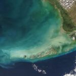 Climate change prompts change of colour in Earth's oceans