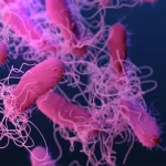 Salmonella outbreak across four US states traced to ground beef: CDC