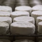 Mozzarella, Feta, Ricotta, Cottage: Which cheese the healthiest?