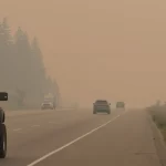 Scientists reveal what wildfire smoke can do to your brain