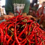 Chinese firms eager to import Pakistani meat, chilli